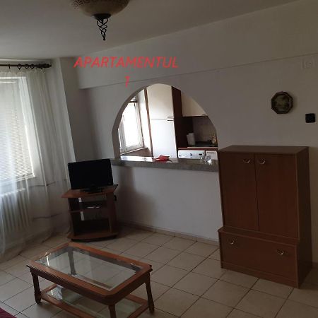 Apartament Cu 2 Camere,Ultracentral In 아라드 외부 사진