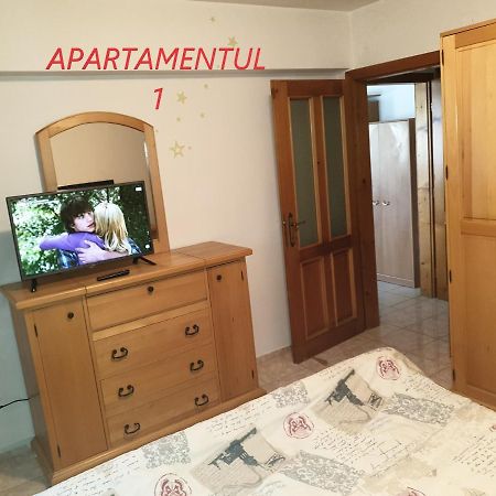 Apartament Cu 2 Camere,Ultracentral In 아라드 외부 사진