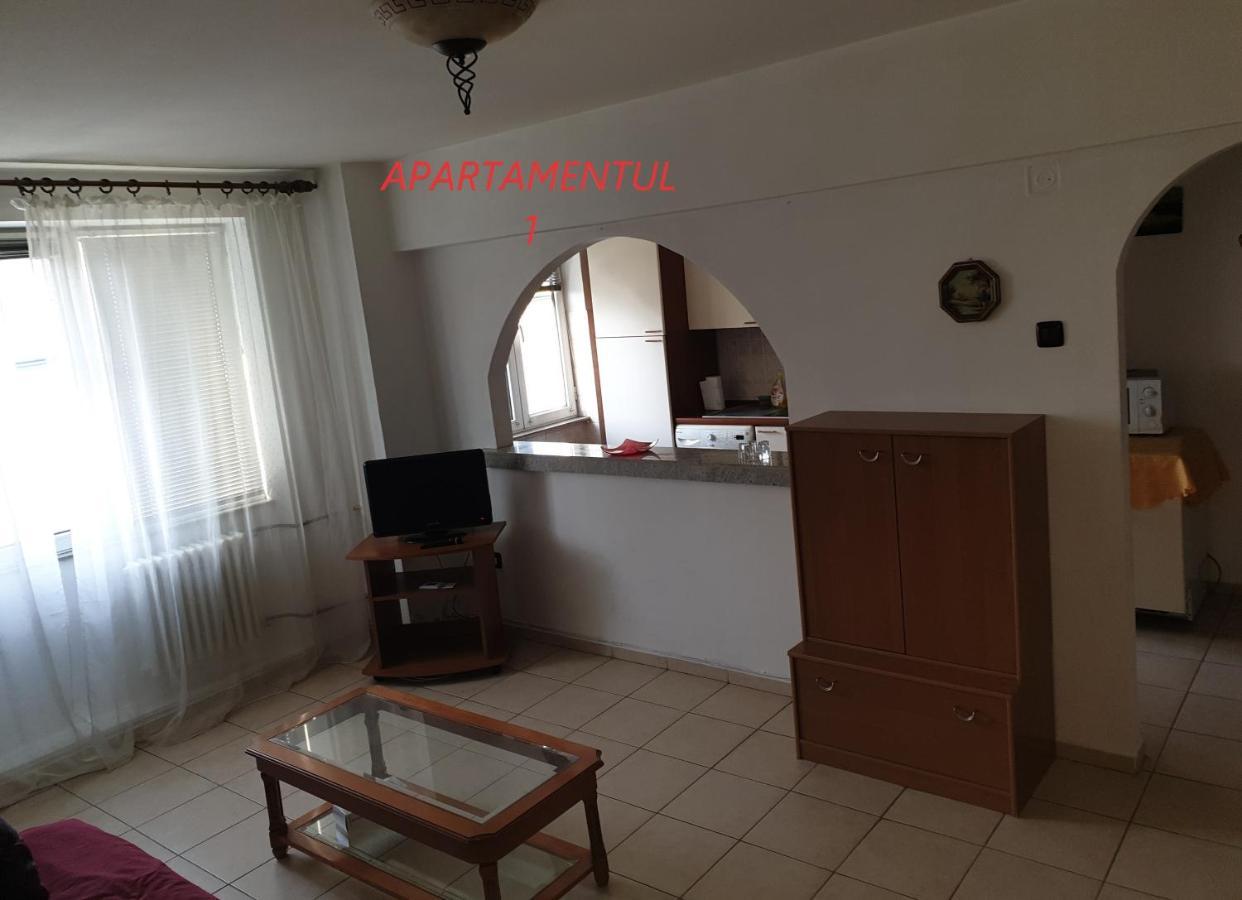 Apartament Cu 2 Camere,Ultracentral In 아라드 외부 사진