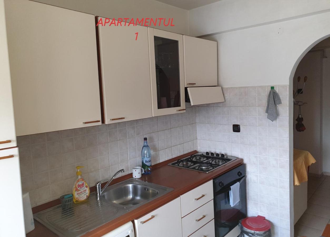 Apartament Cu 2 Camere,Ultracentral In 아라드 외부 사진
