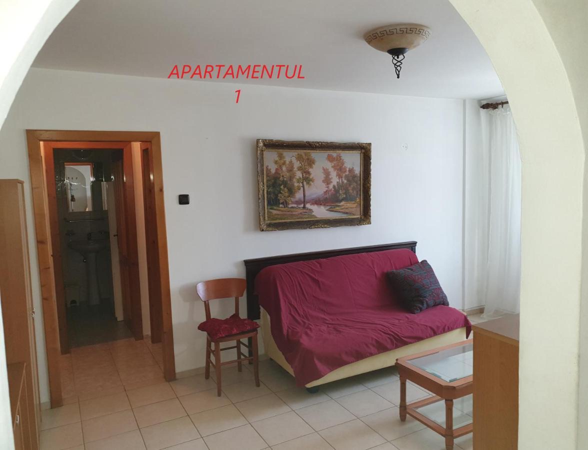 Apartament Cu 2 Camere,Ultracentral In 아라드 외부 사진