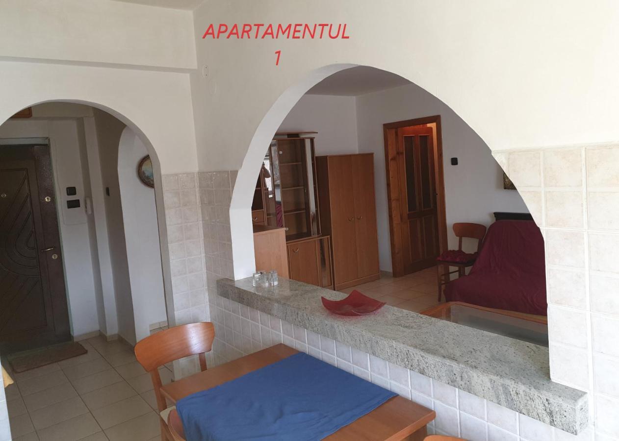 Apartament Cu 2 Camere,Ultracentral In 아라드 외부 사진