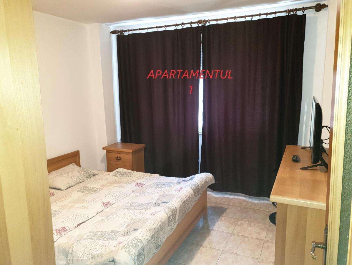 Apartament Cu 2 Camere,Ultracentral In 아라드 외부 사진