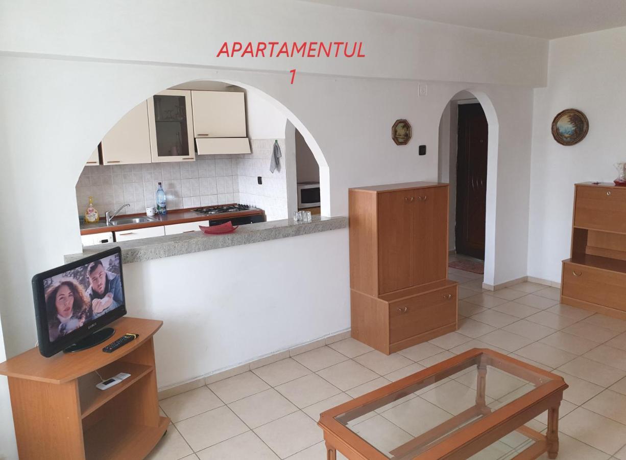 Apartament Cu 2 Camere,Ultracentral In 아라드 외부 사진