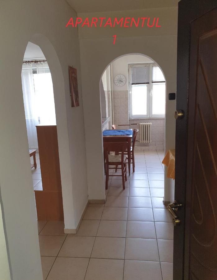 Apartament Cu 2 Camere,Ultracentral In 아라드 외부 사진